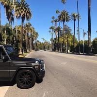 Отзыв от Олег - DTV виза