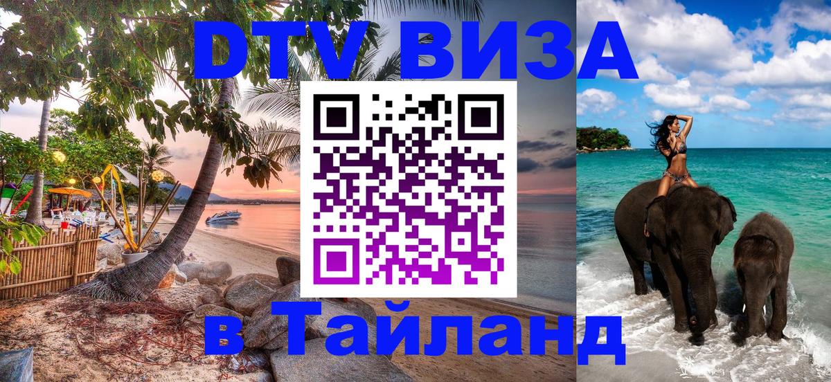 Оформление DTV визы под ключ: стоимость и тарифы, только загранпаспорт - Волгоград  20.11.2025 